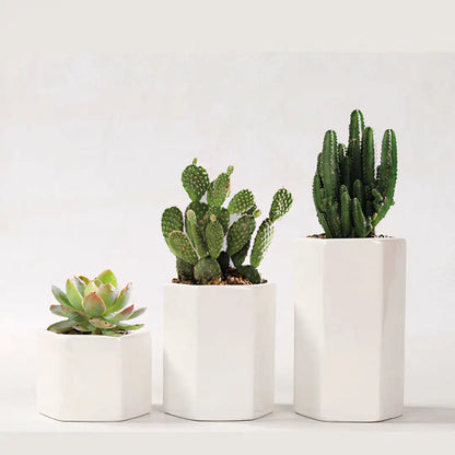 Jasmin Ceramic Pot Planter